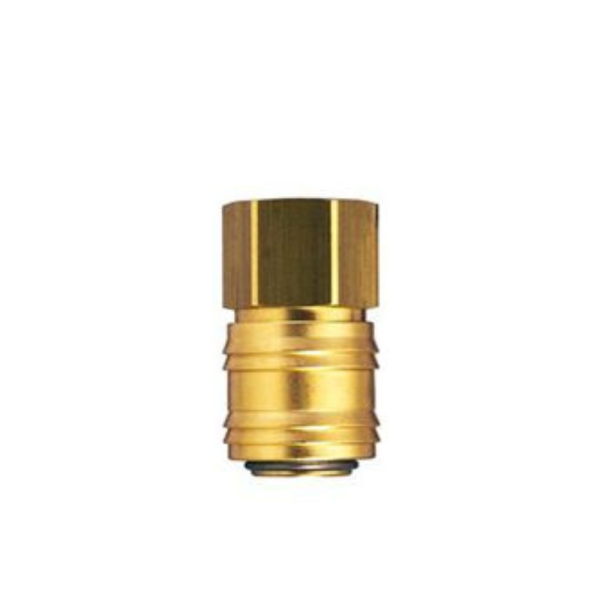 Sagola Female Brass Coupling
