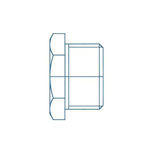 Threaded brass connection Sagola